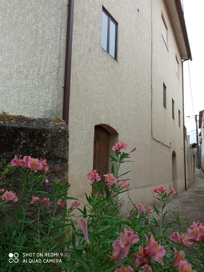 Casa Dos Grilos Penacova Exteriör bild